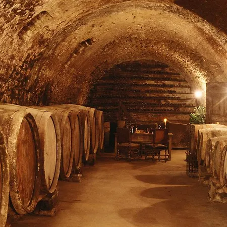 Semesterbostad Chateau D'agel Agel