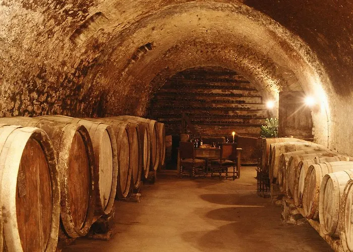 بيت للعطل Chateau D'agel Agel